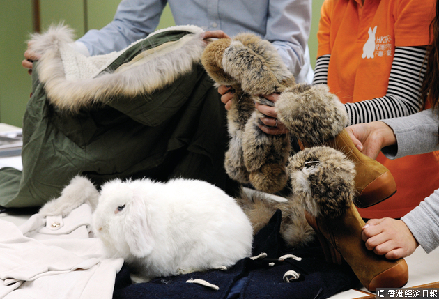 環保觸覺曾發現，20元的毛毛頸巾，也全條屬真兔毛。（經濟日報資料圖片）