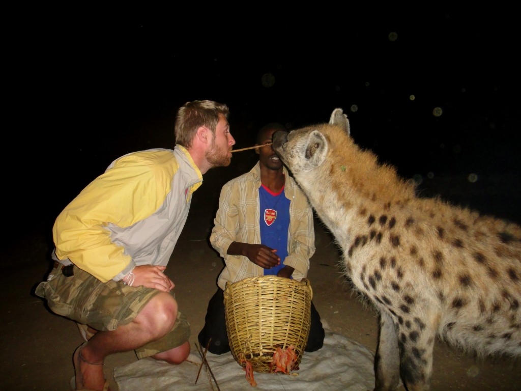 圖片為Johnny在衣索比亞(Ethiopia)餵飼鬣狗 (相片來源: One step4 Ward 博客)