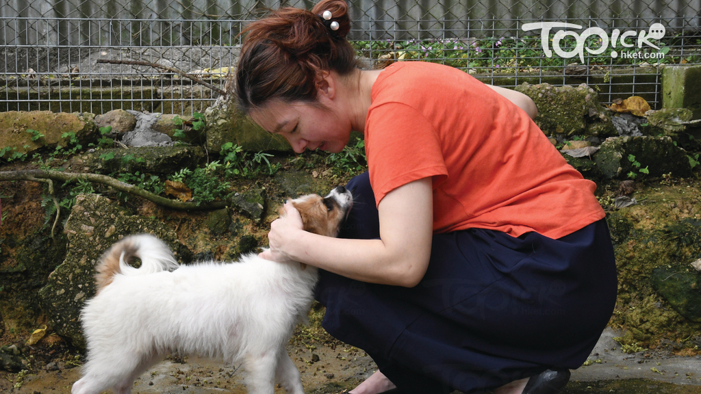 香港拯救貓狗協會創辦人謝曉梅亦指出，年初已收到10多隻繁殖場棄狗，修例實施至今再收20多隻，不少棄狗患皮膚病，亦有雙目失明、脫臼、甚至患有心絲蟲。（程志遠攝）