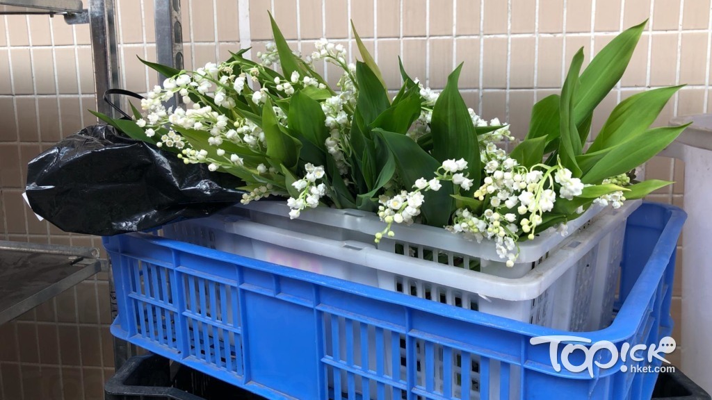 殯儀館門口擺放大量的鈴蘭花。(勞佩欣攝)