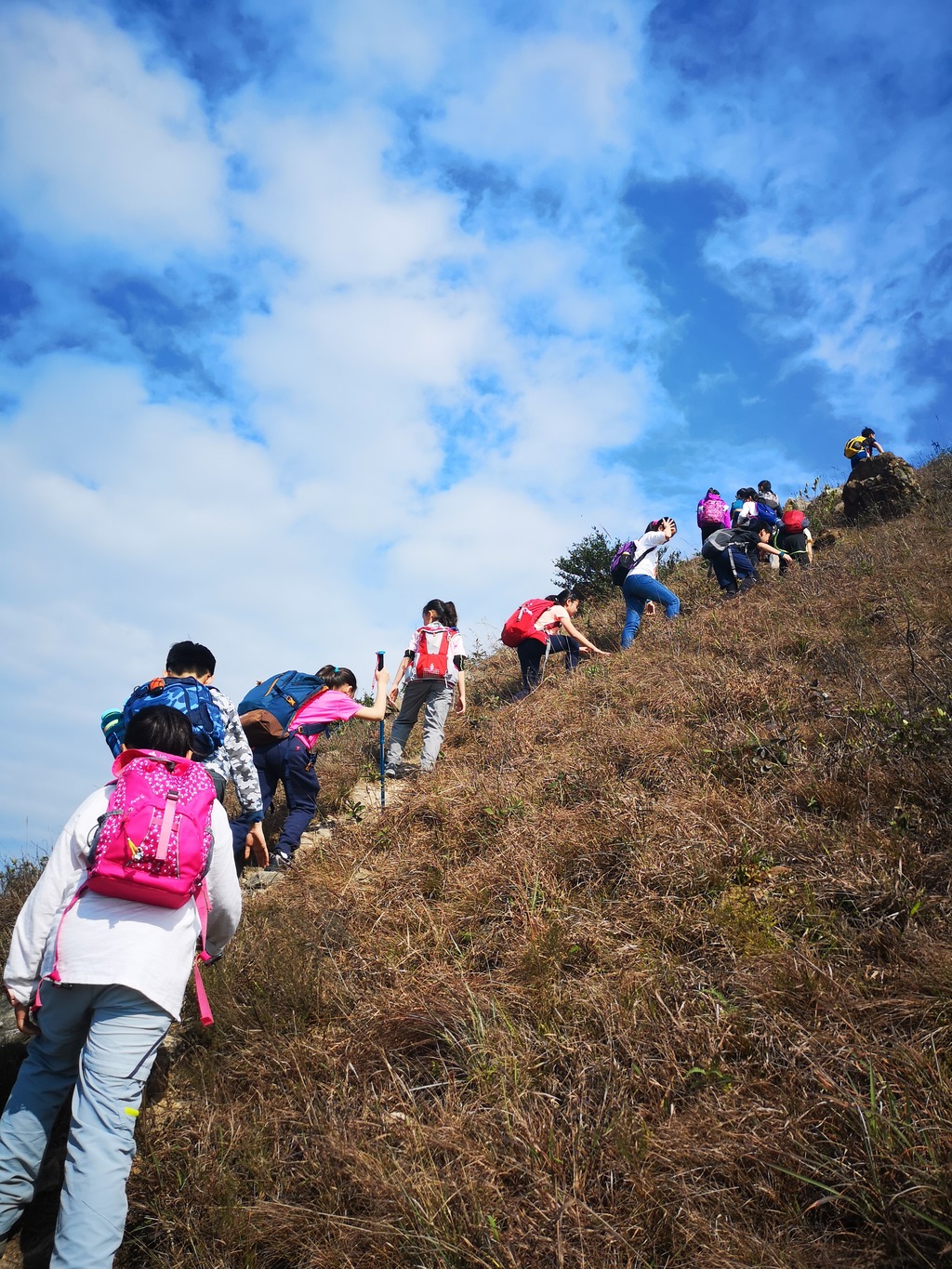 小四至小六學生旅行日遠足，一齊行山。（受訪學校提供照片）